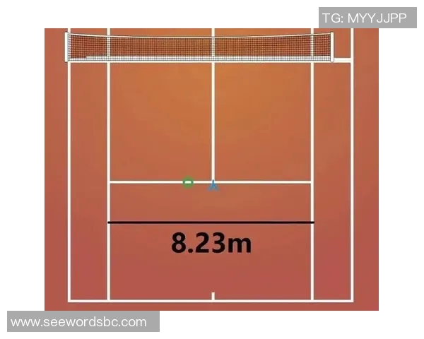 深圳网球队在比赛中的控球策略与失误分析探讨
